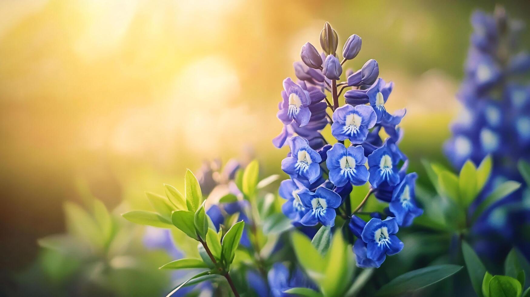 A blue flower with a yellow center is in full bloom photo