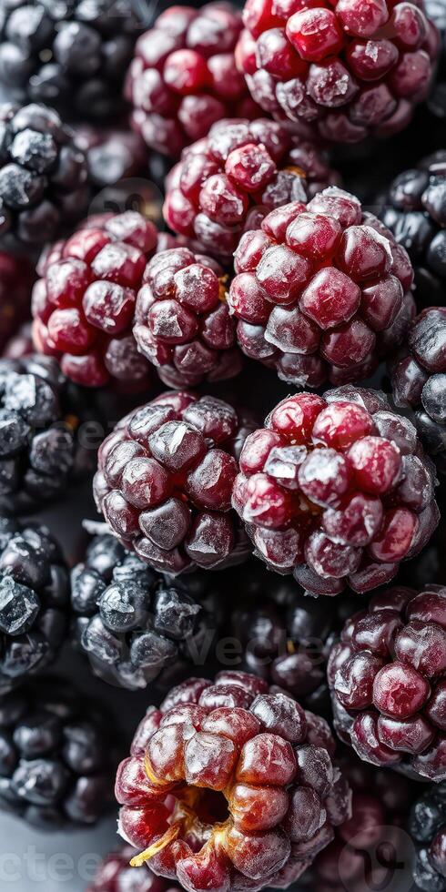 Freshly picked blackberries and raspberries set against a dark background during summer harvest season photo