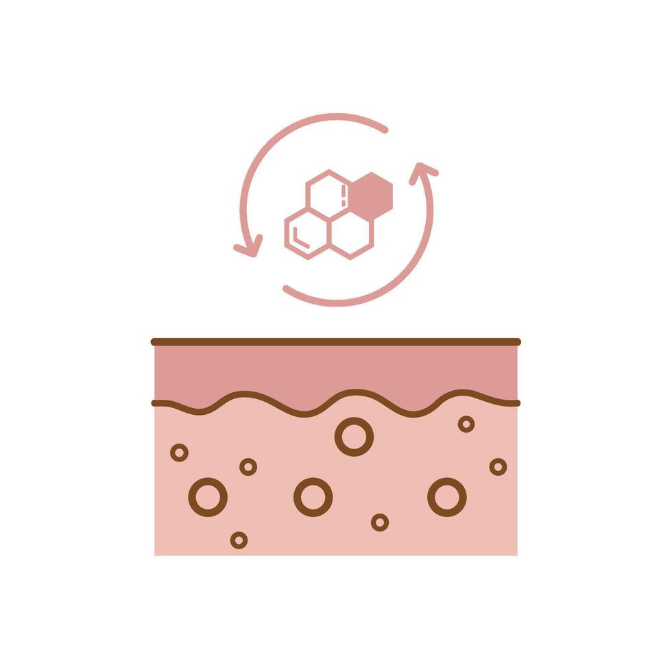 Honeycomb pattern symbolizes skin renewal process vector