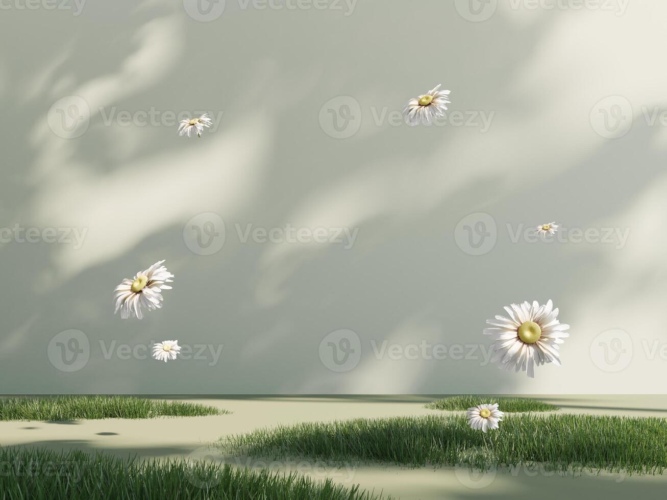 3d spring podium, display with daisies on light pastel background with shadow. Showcase for advertising products, cosmetics. Floral, summer, holiday banner for easter, wedding, mother's day, birthday. photo