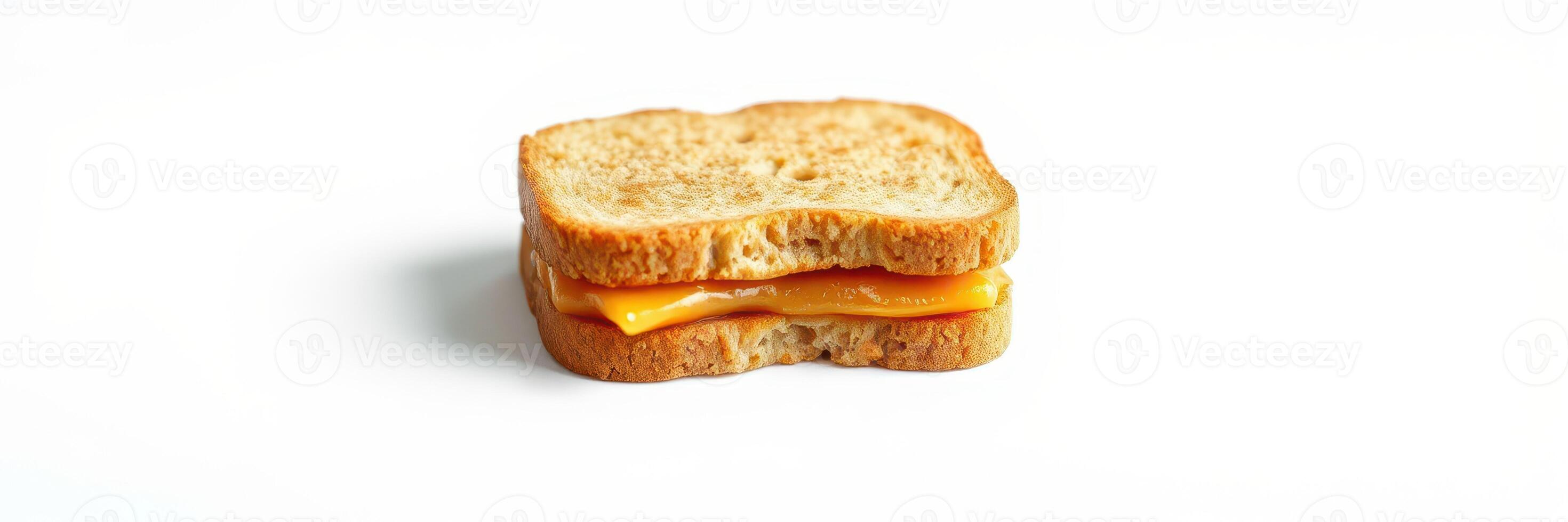 Small sandwich made with whole grain bread and cheddar cheese on a plain background with minimalistic style photo