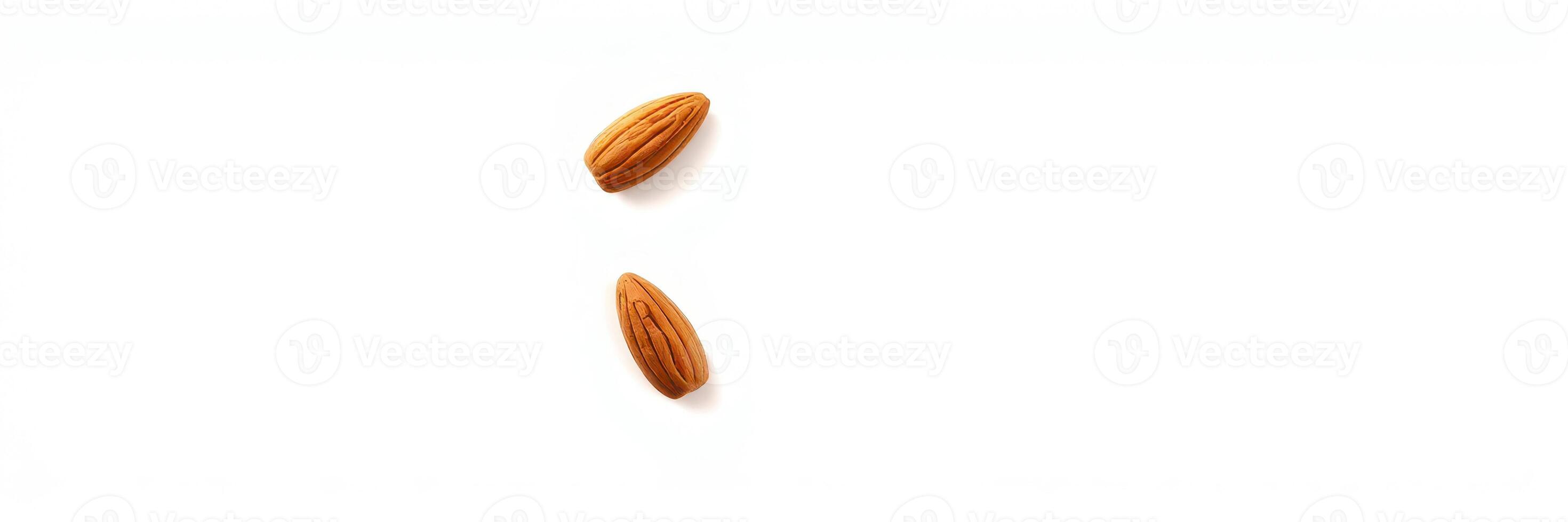 Two almonds placed on a plain white background showcasing their natural shape and texture for culinary and nutritional purposes photo
