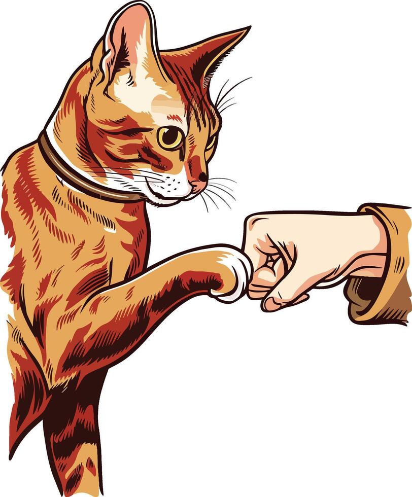 cat photos design art illustration vector