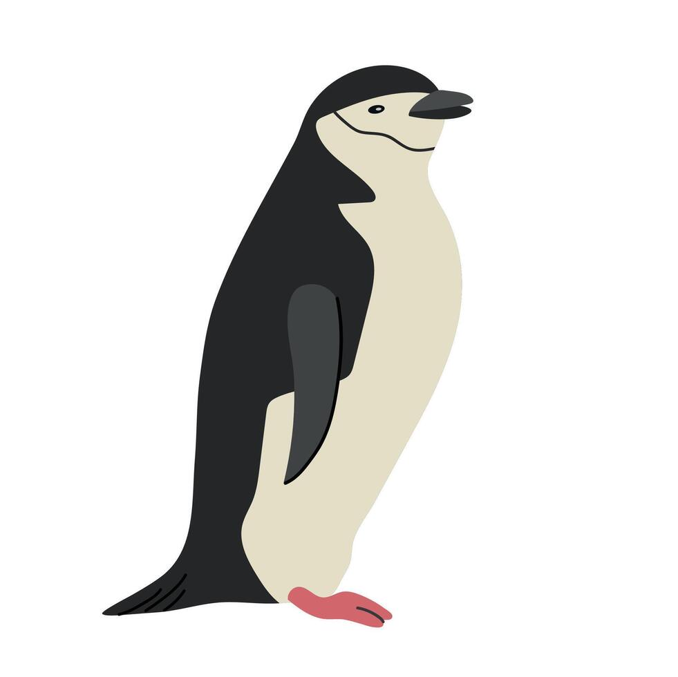 Chinstrap penguin icon clipart avatar logotype isolated illustration vector