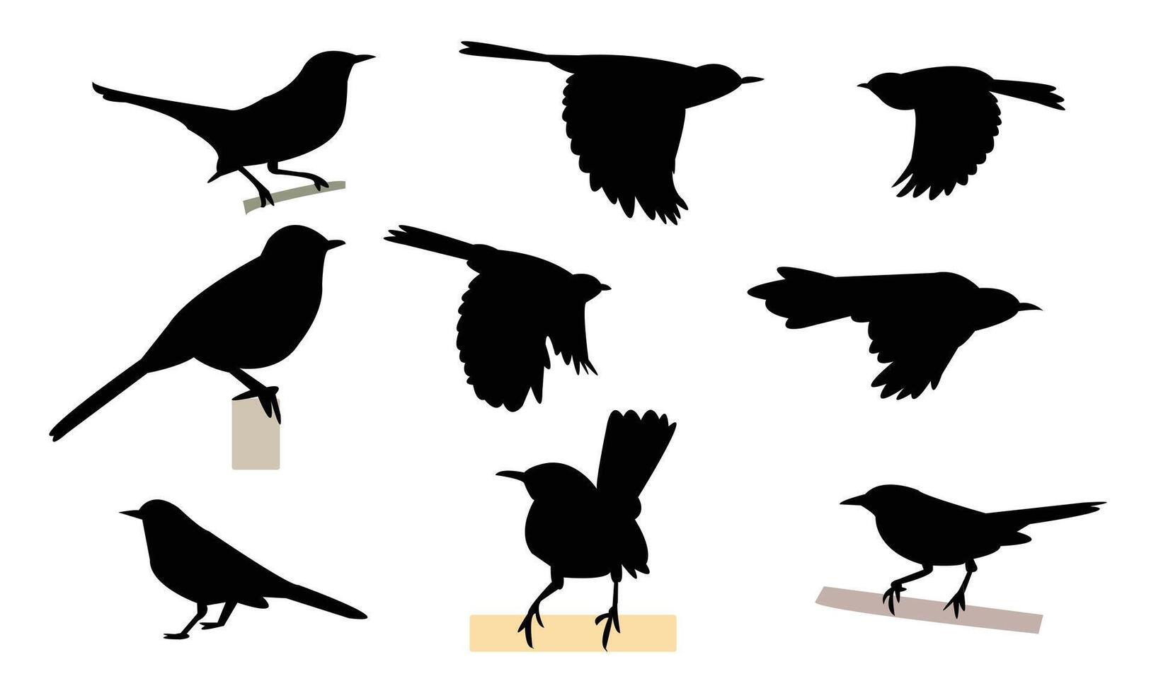 Catbird Silhouette Collection vector