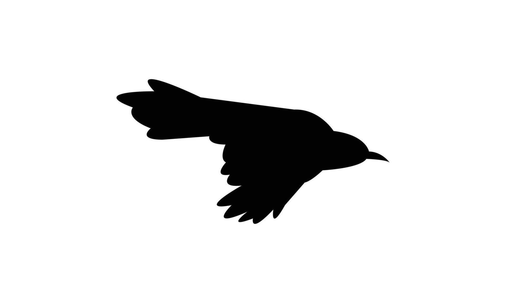 Flying Catbird Silhouette And Illustration. vector