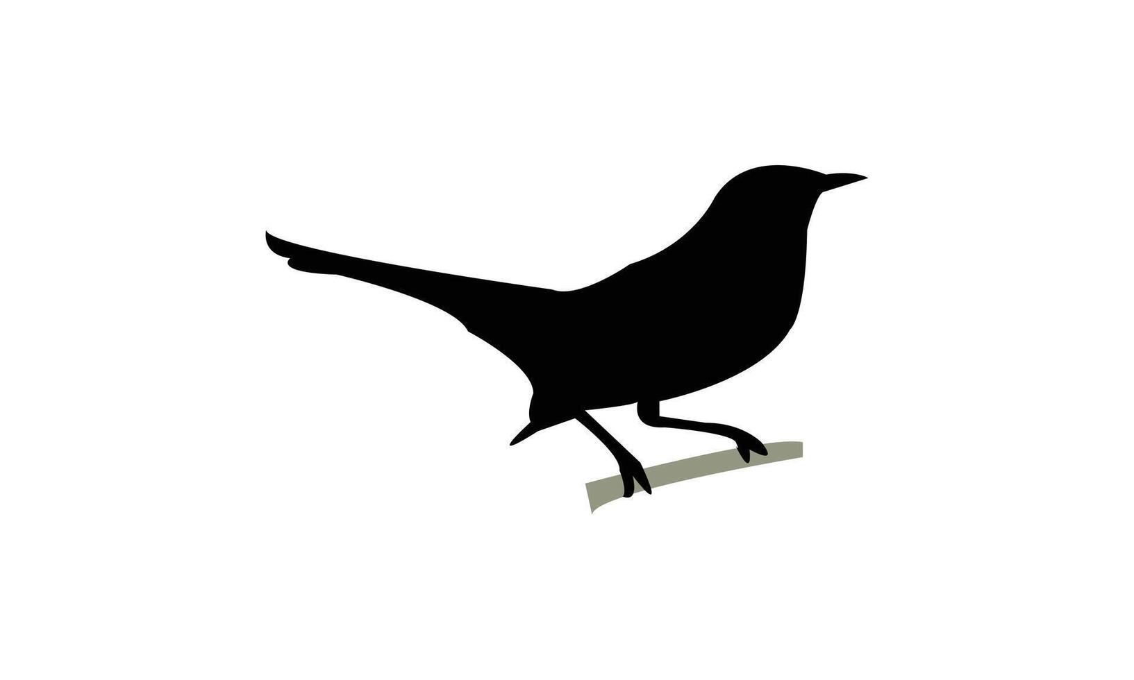 Beautiful Catbird Black Silhouette vector