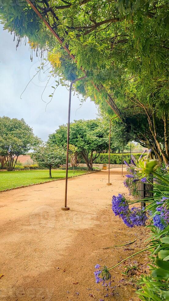 Alleys in the park of the city of Porto, Portugal, in the summer on a sunny day. photo