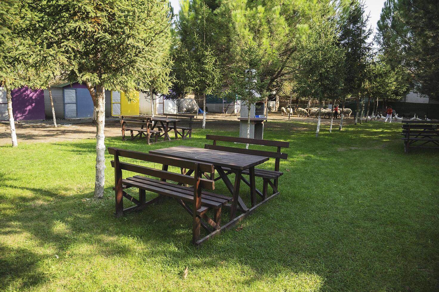 Piknik table, on the outdoor, piknik masasi photo