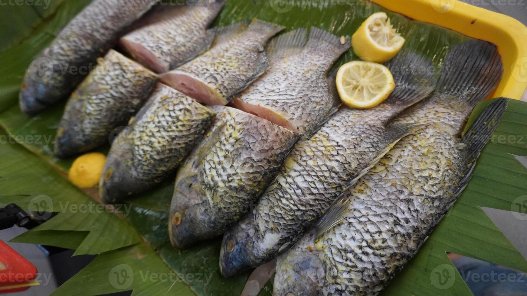 Fresh produce of Gourami fish a kind of tilapia fish marinated with spices ready for cooking or sale in supermarket photo