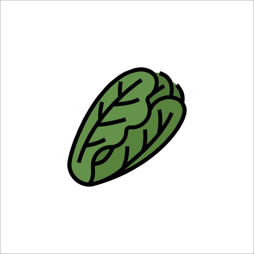 A leafy green vegetable icon on a white background vector