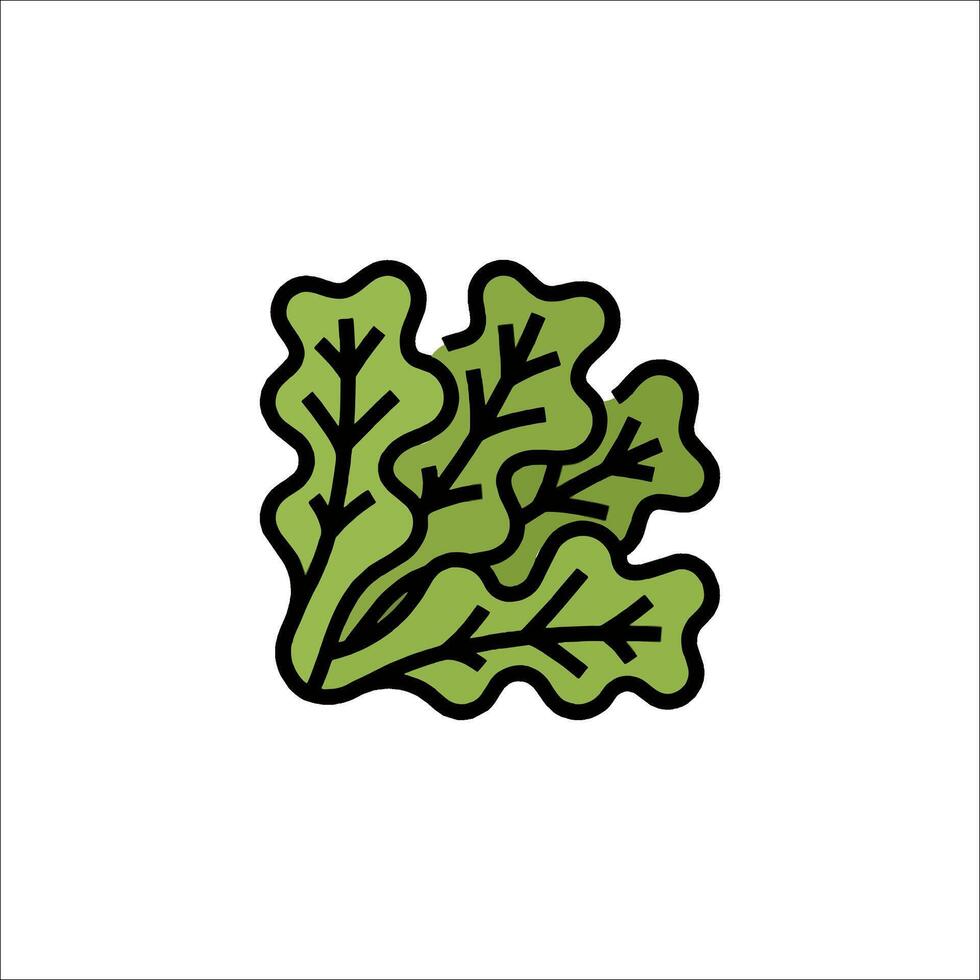 A green leafy vegetable icon on a white background vector
