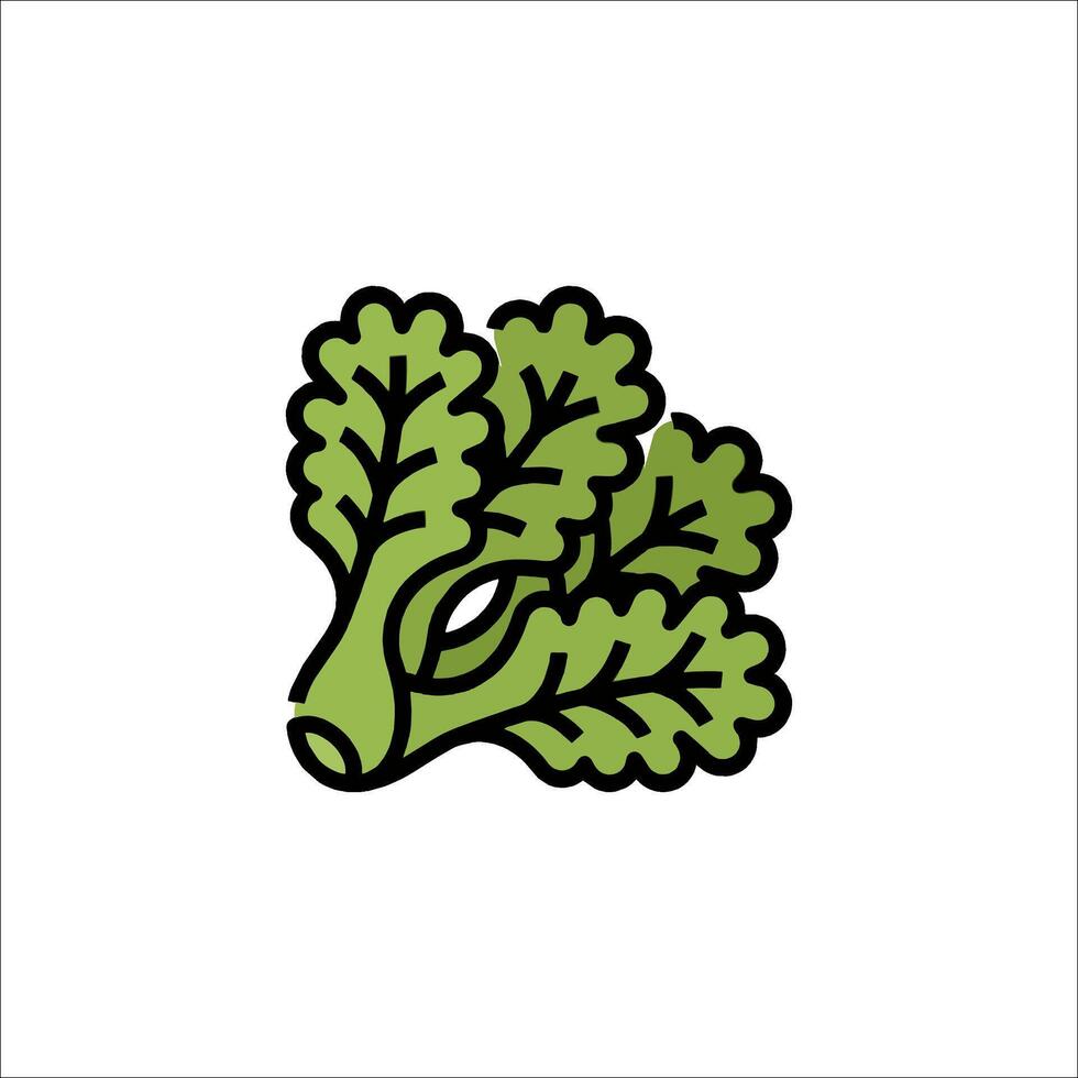 A green leafy vegetable icon on a white background vector