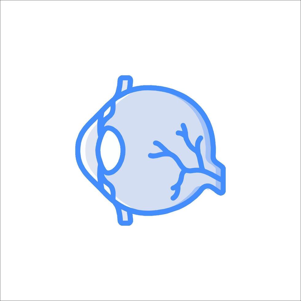 An illustration of a human eye vector