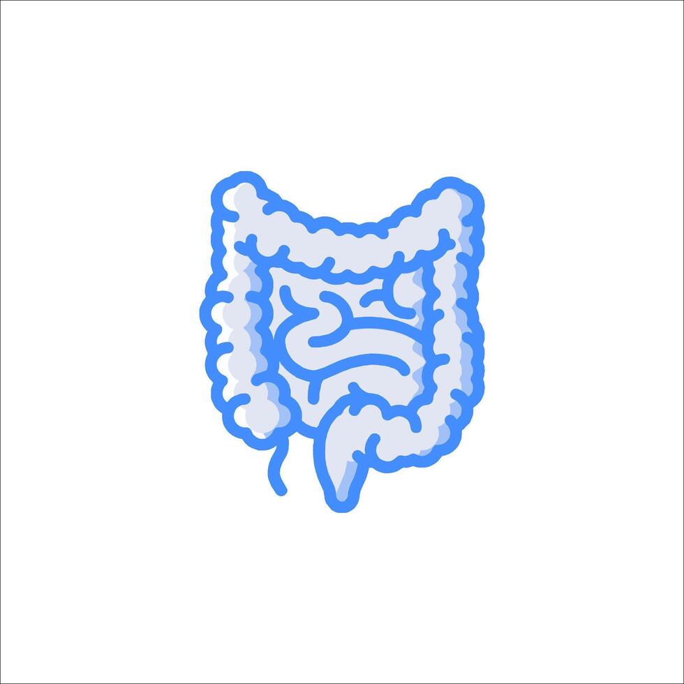 An illustration of a human colon vector