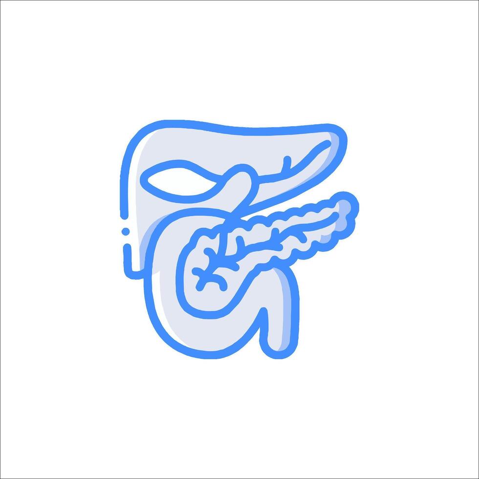 The liver and pancreas are shown in a line icon vector