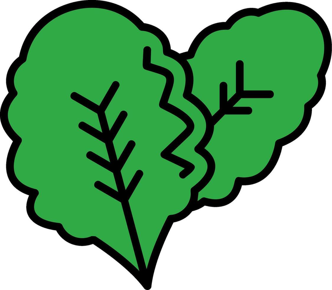 Lettuce Line Filled Icon vector