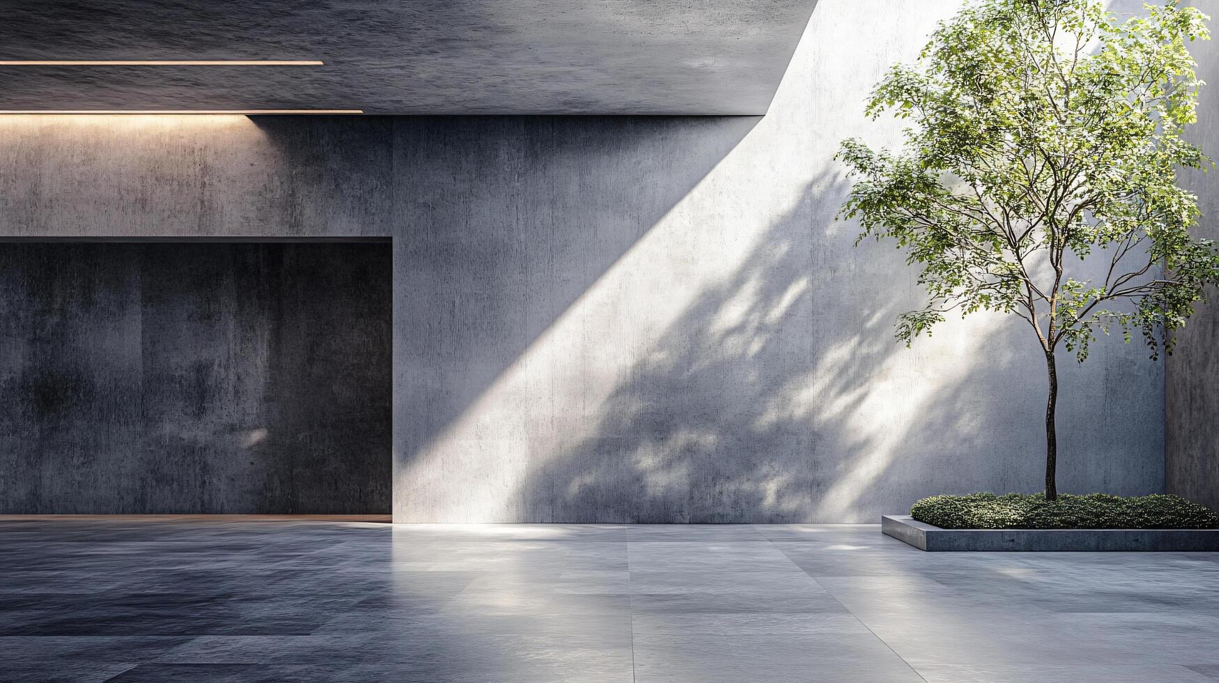 Large tree is growing in a courtyard with a concrete wall. The tree is in the middle of the courtyard and is surrounded by a small garden. The courtyard is empty photo
