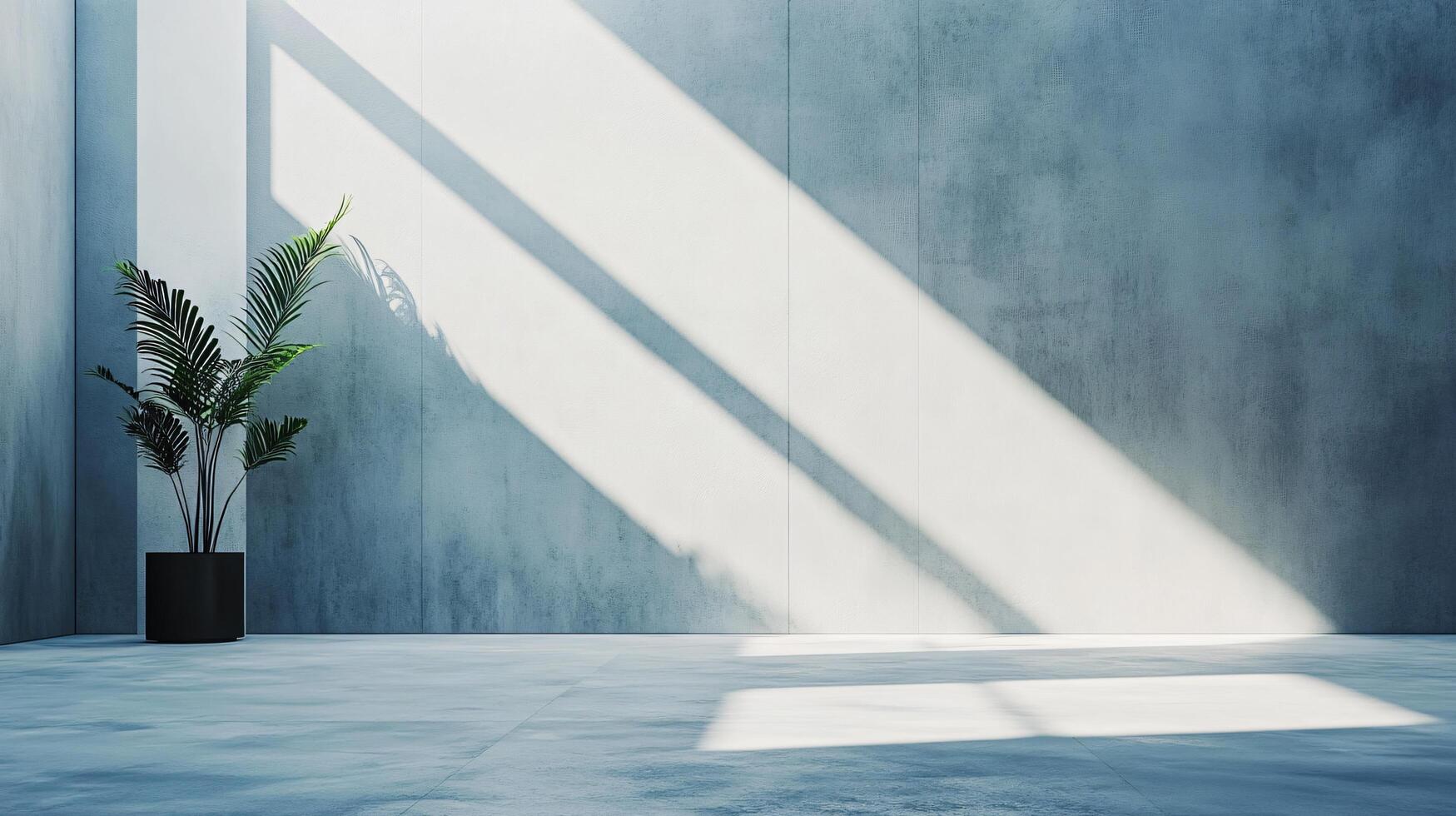 Plant is sitting in a black pot in a room with a white wall. The room is empty and has a minimalist feel to it photo
