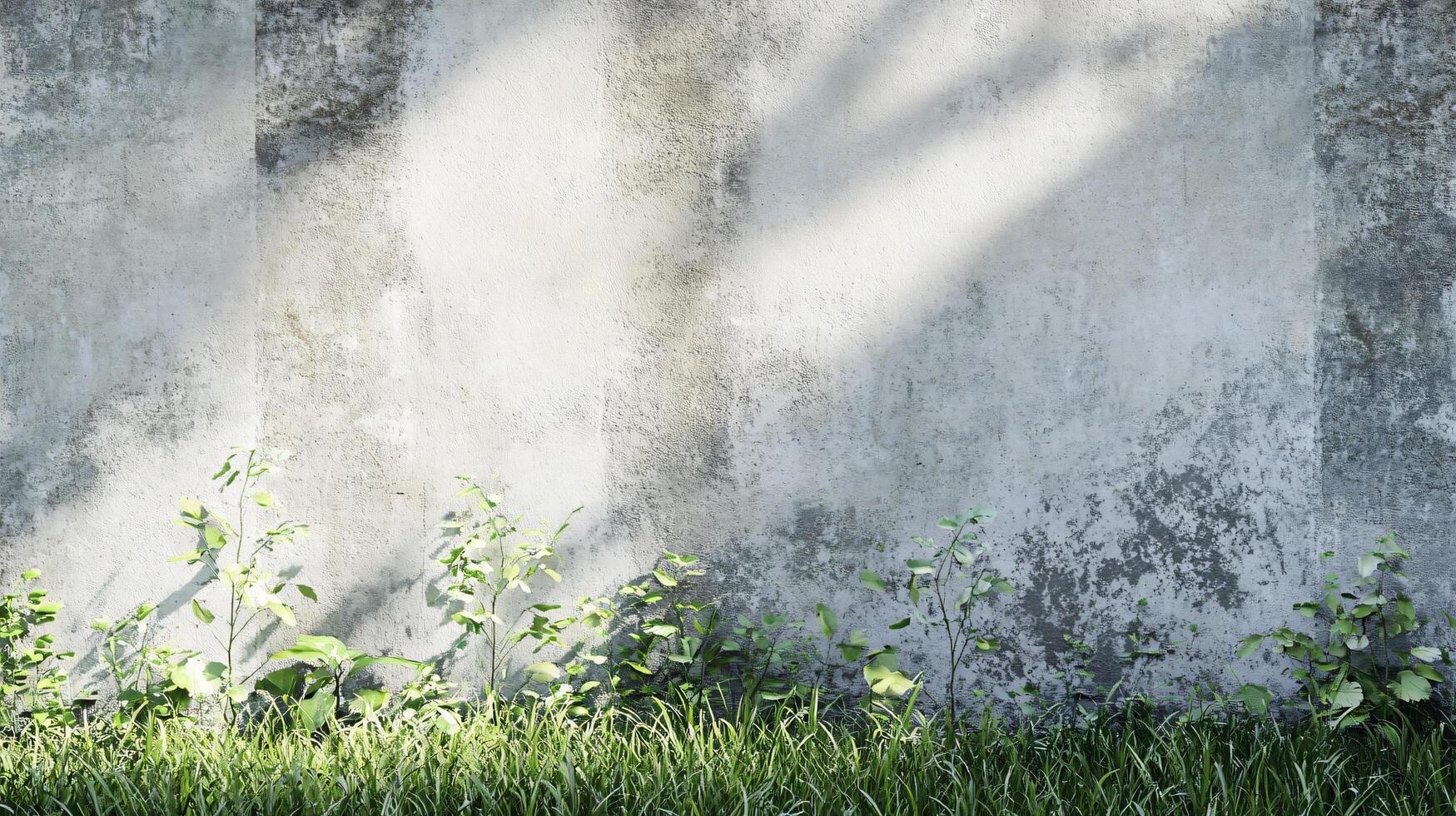 Wall with a green plant growing out of it. The plant is growing out of the wall and is surrounded by a shadow photo