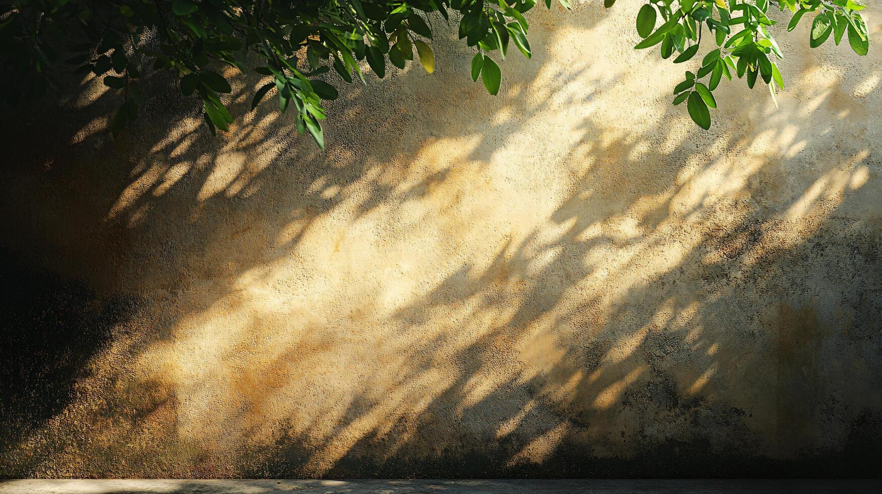 Wall with a tree in the background and a shadow on the wall. The wall is made of concrete and has a rough texture. The tree is tall and has green leaves photo