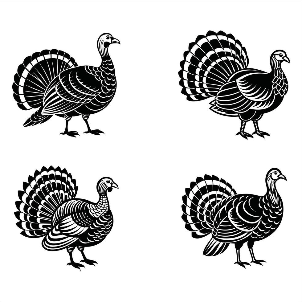 Feathers of Freedom A Wild Turkey Tale vector
