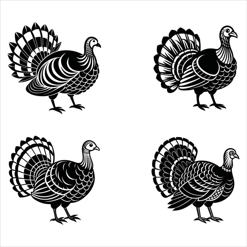 Strut and Glory The Life of a Wild Turkey vector