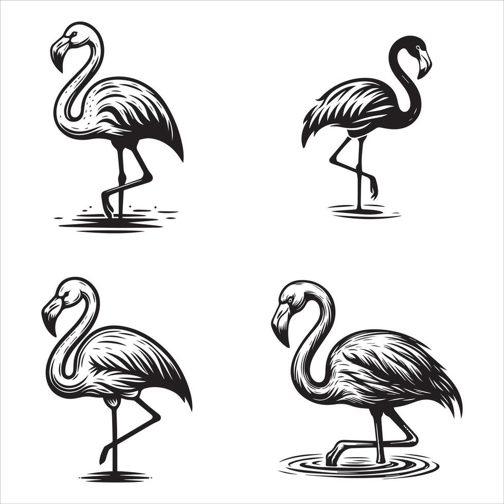 The Gentle Grace of Flamingos vector