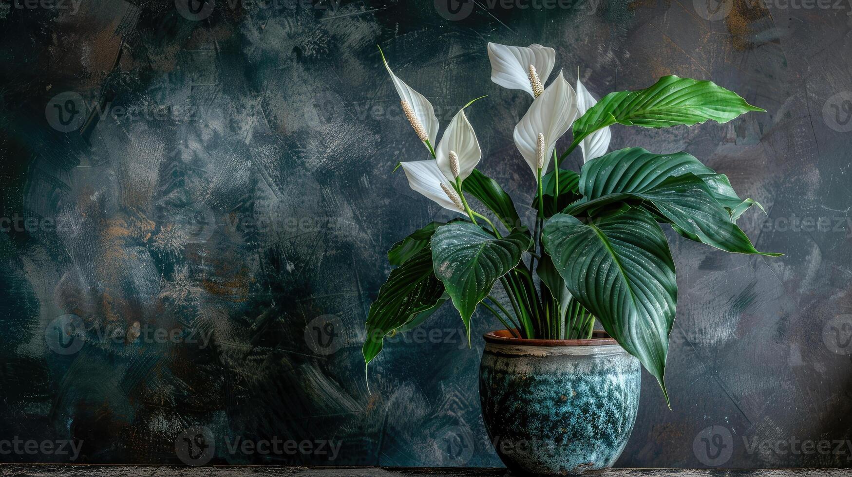 A vase with white flowers sitting on a table photo