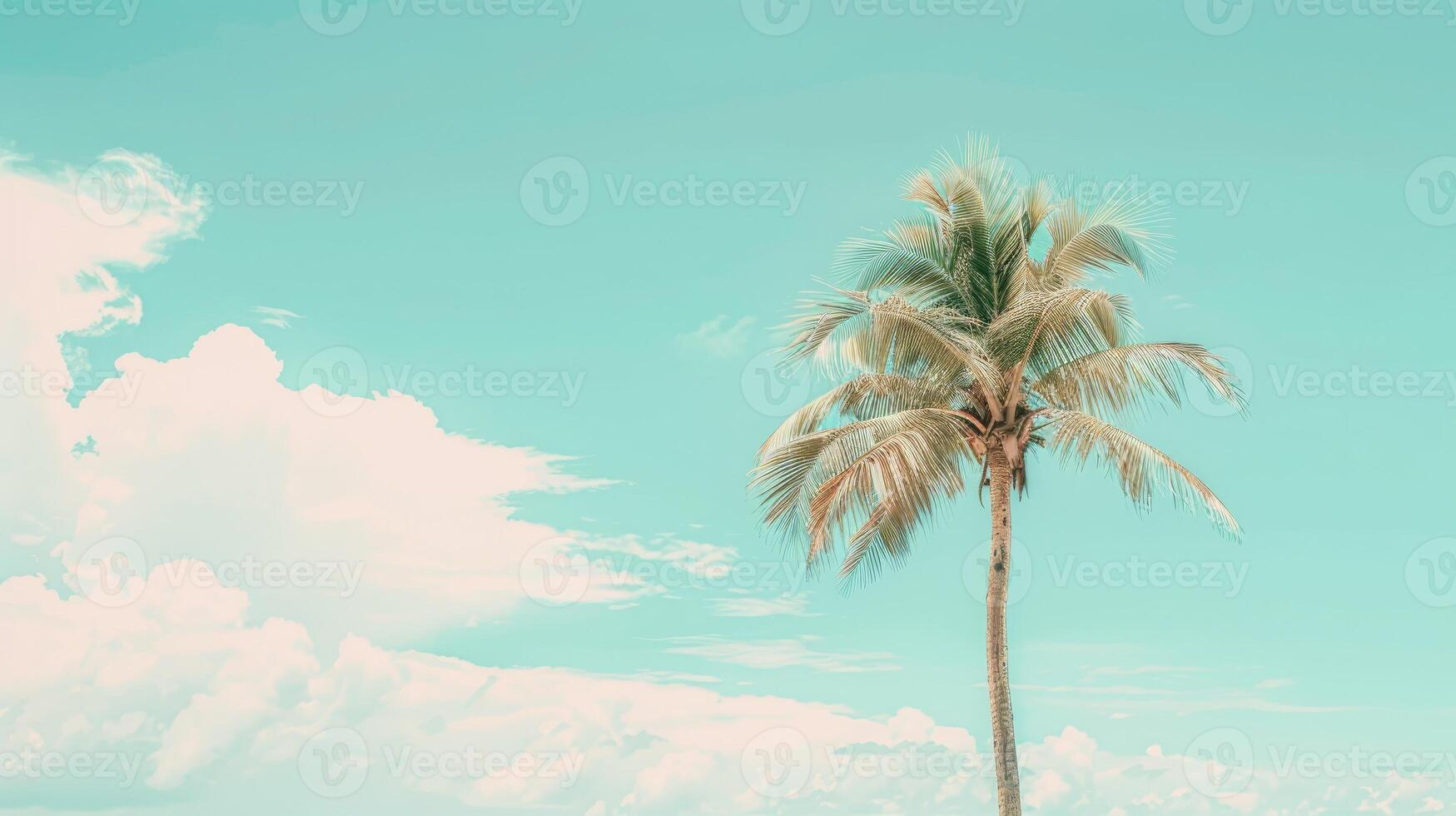 A palm tree stands in front of a blue sky photo