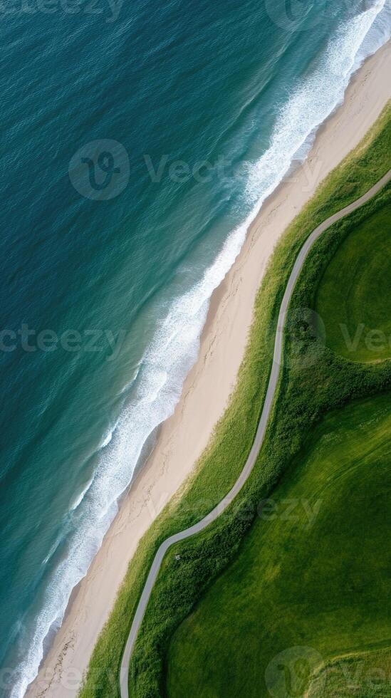 Aerial view of a golf course and ocean photo