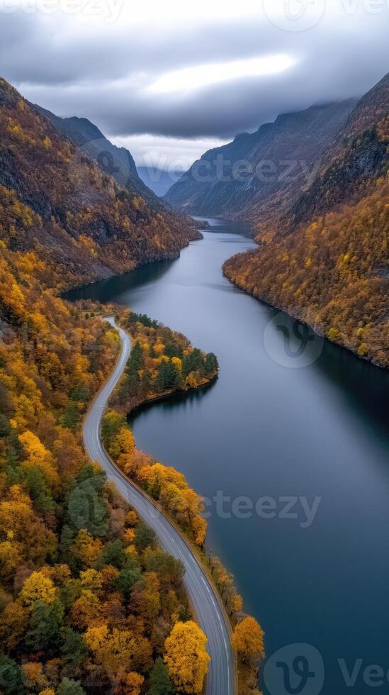 An aerial view of a winding road surrounded by trees photo