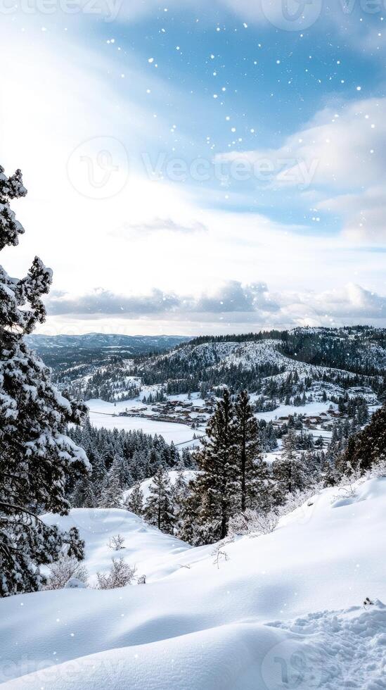 A snowy landscape with trees and snow photo