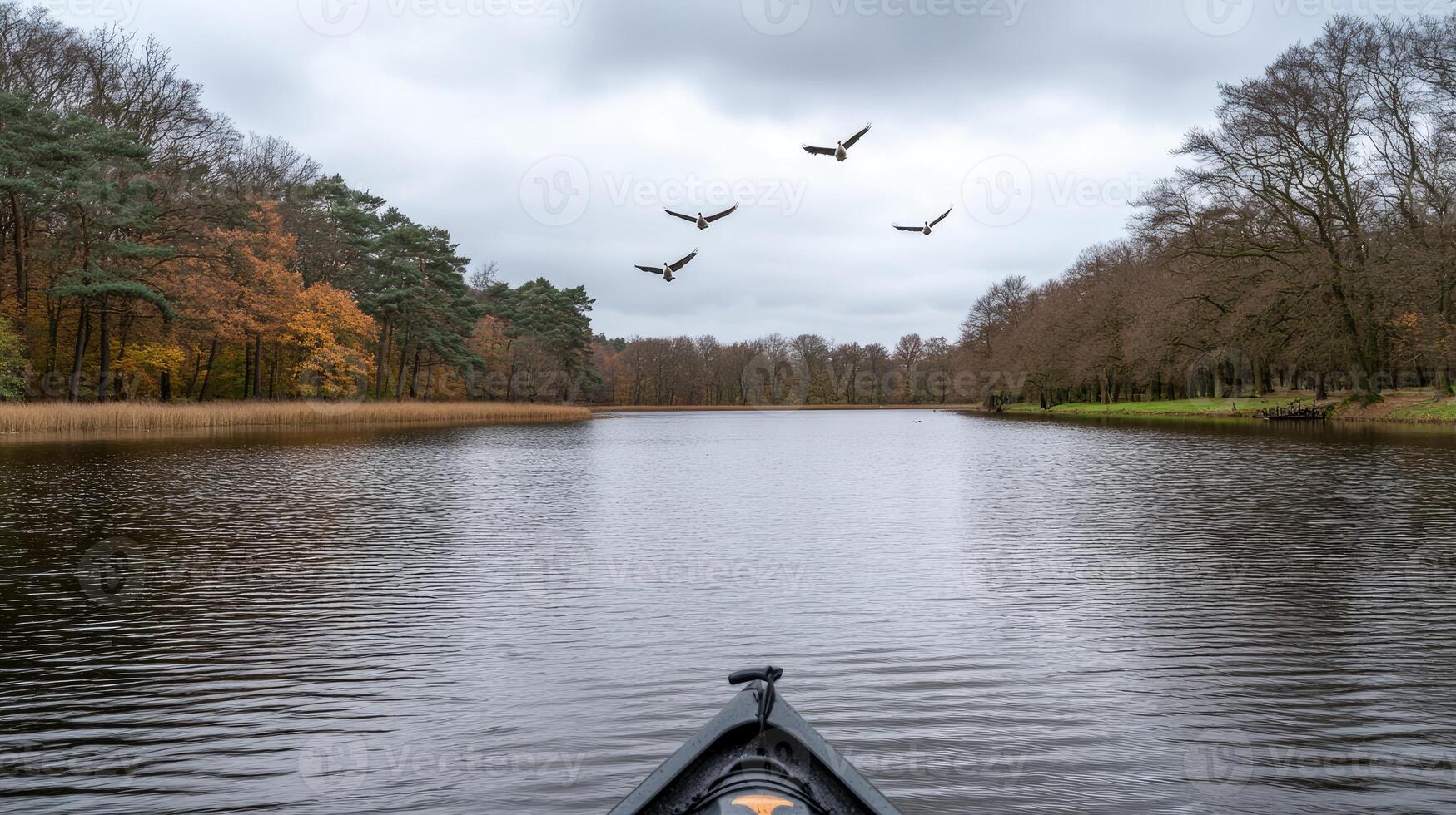 A canoe is in the water with birds flying over it photo