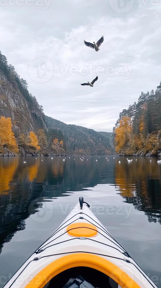 A kayak on a lake with two birds flying over it photo