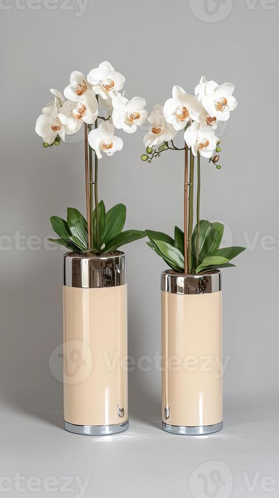 Two white orchids in a vase on a gray surface photo
