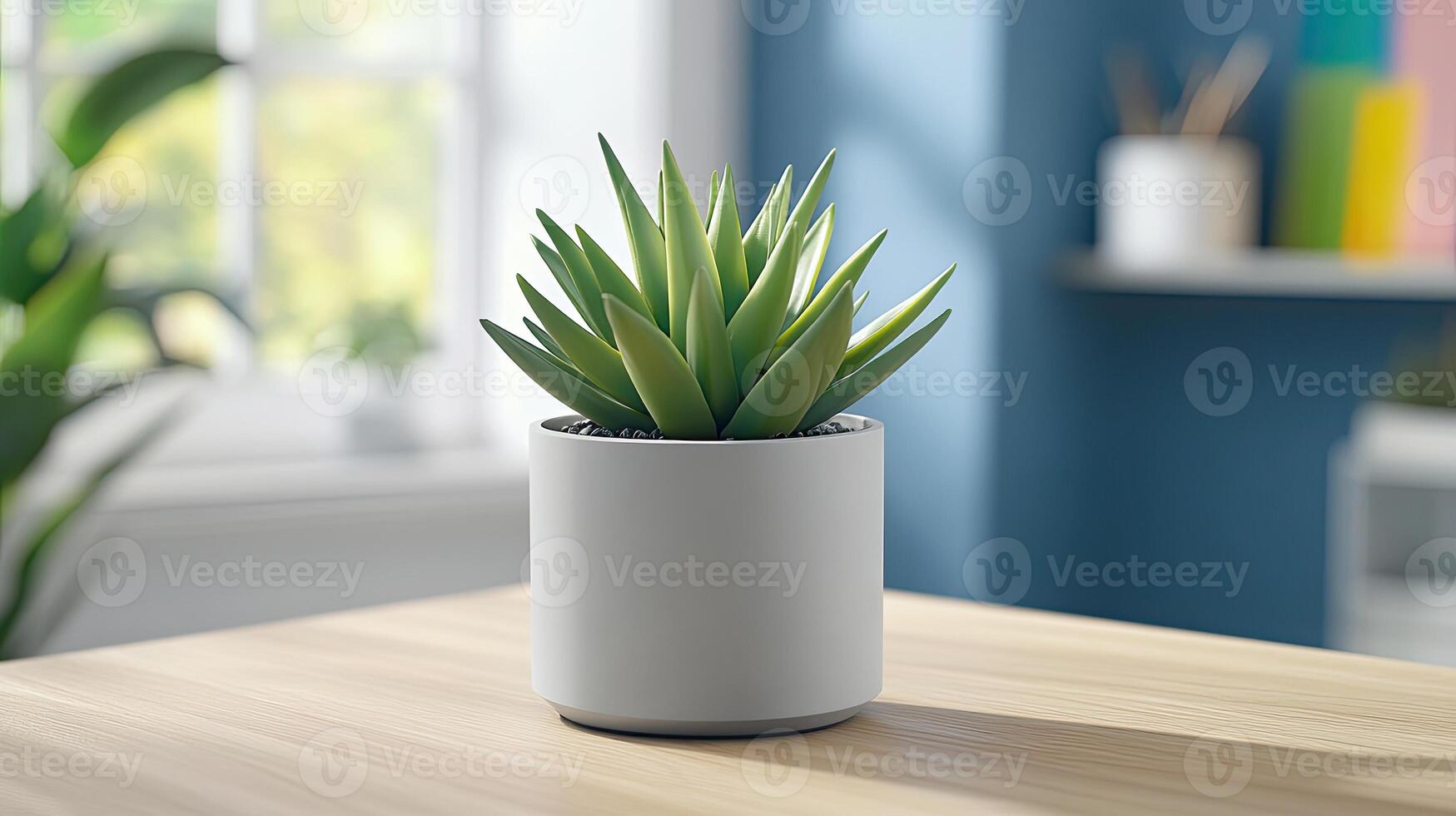 A plant in a white pot on a table photo