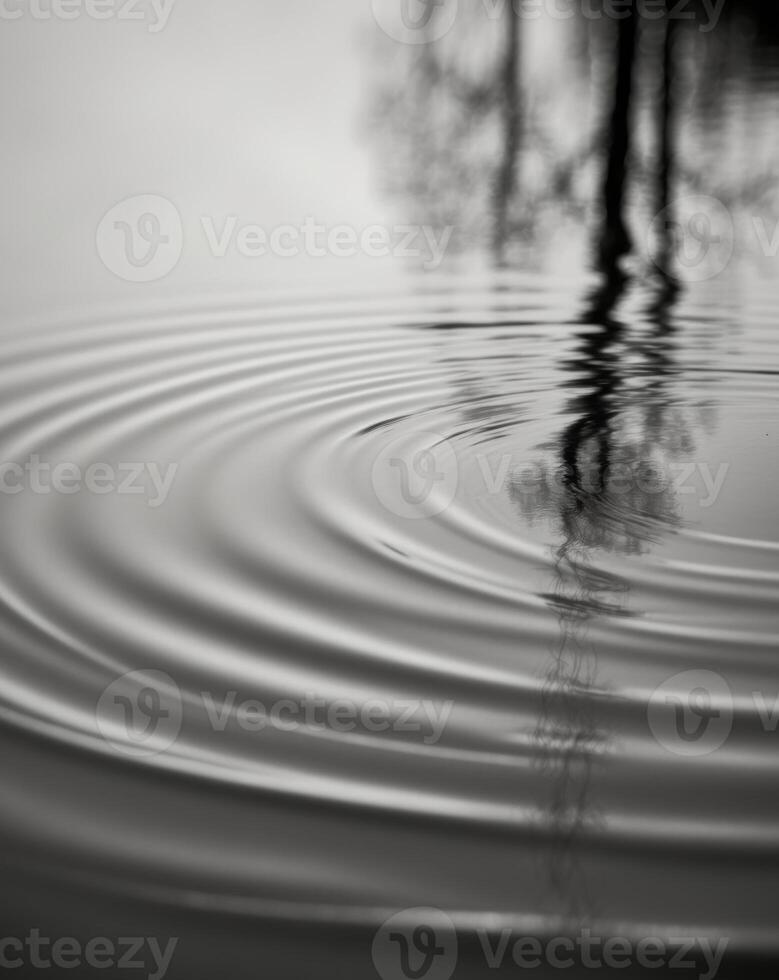 Black and white photograph of a tree in the water photo
