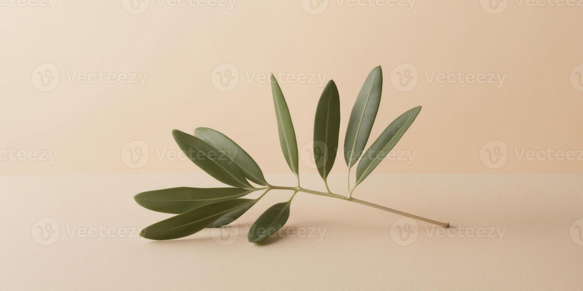 Olive branch with green leaves on a beige background featuring ample copy space. photo