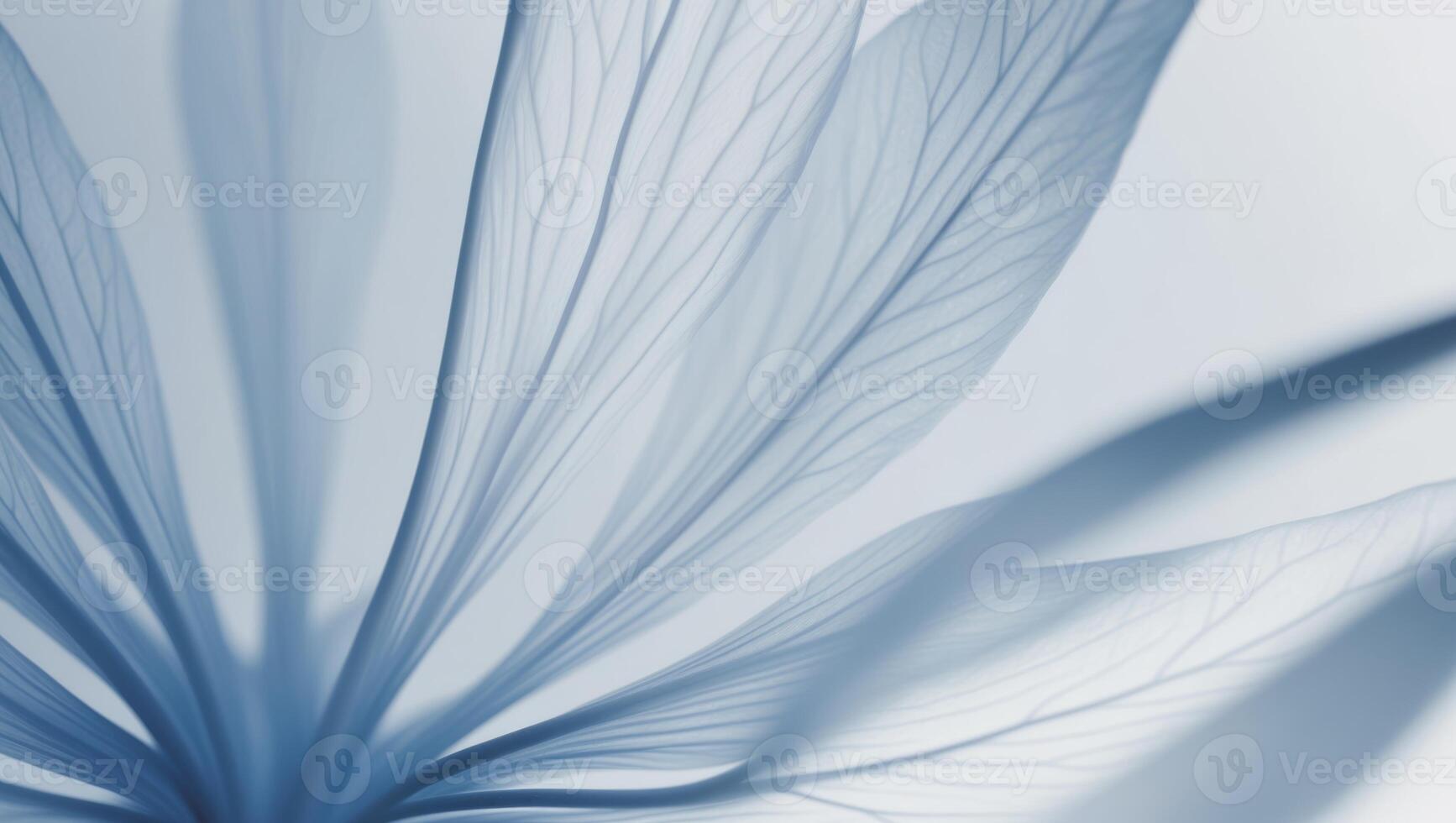 abstract blue floral petal veins background. photo
