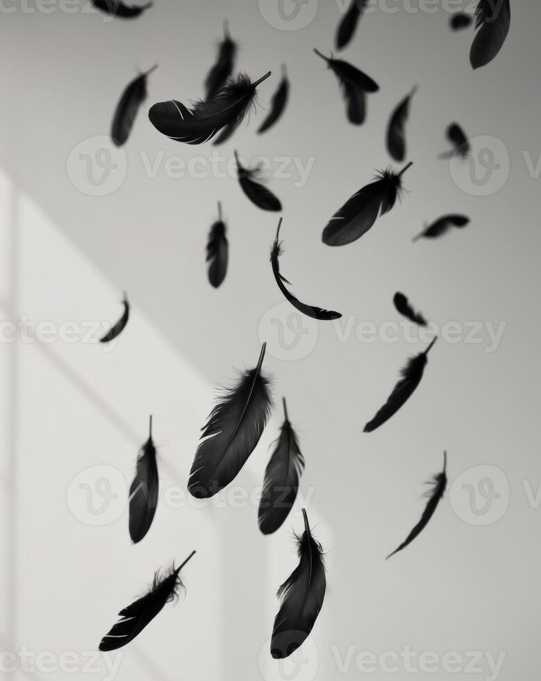 floating black feathers create serene and elegant atmosphere in this image. photo