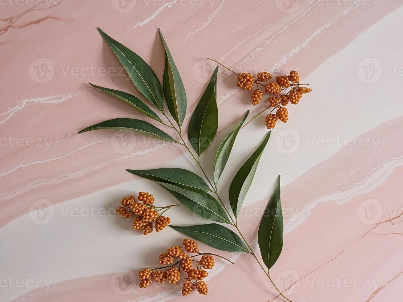 Eucalyptus flowers on pink marble background photo