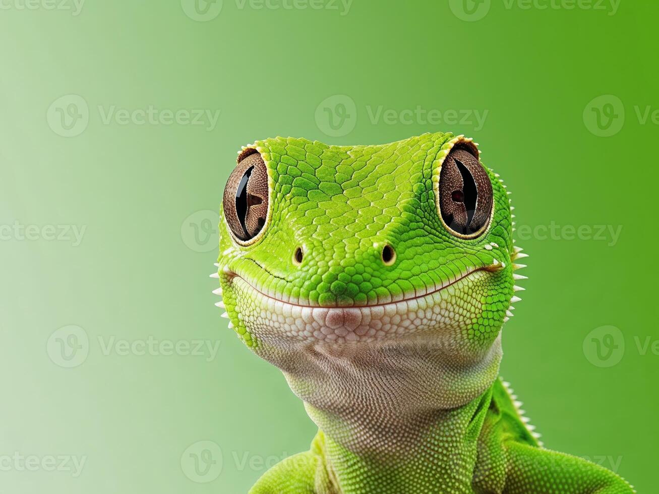 A close up of a green gecko's face with a bright green background photo