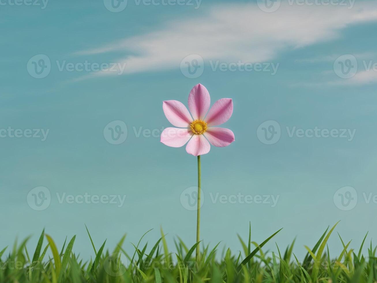 A single pink flower in the middle of a field photo