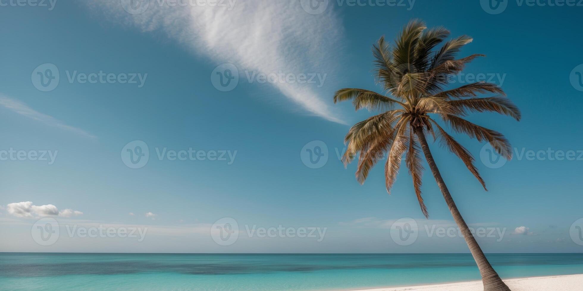 Palm tree stands tall on pristine beach with crystal clear ocean under blue sky photo