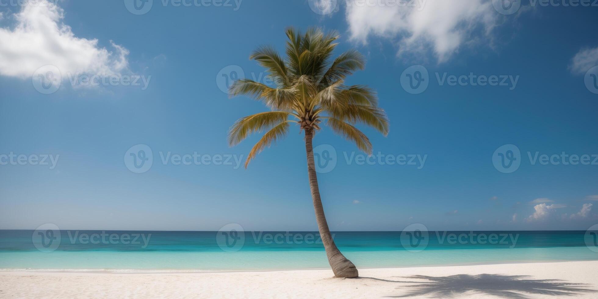 Palm tree stands tall on pristine beach with crystal clear ocean under blue sky photo