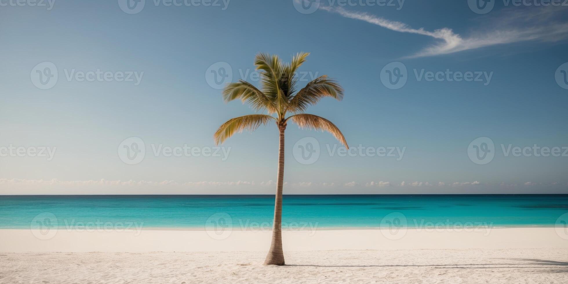 Sole Palm Tree on White Sandy Beach with Turquoise Ocean and Clear Blue Sky photo