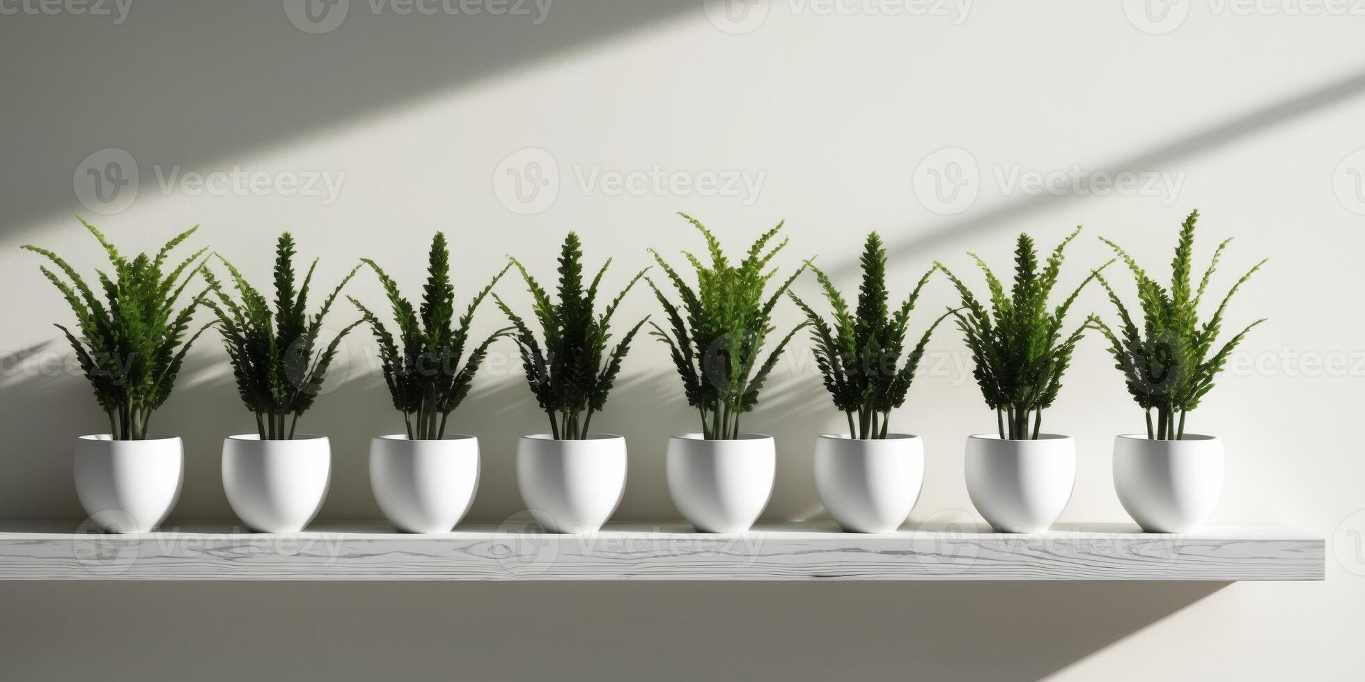 A row of potted plants are lined up on a shelf photo