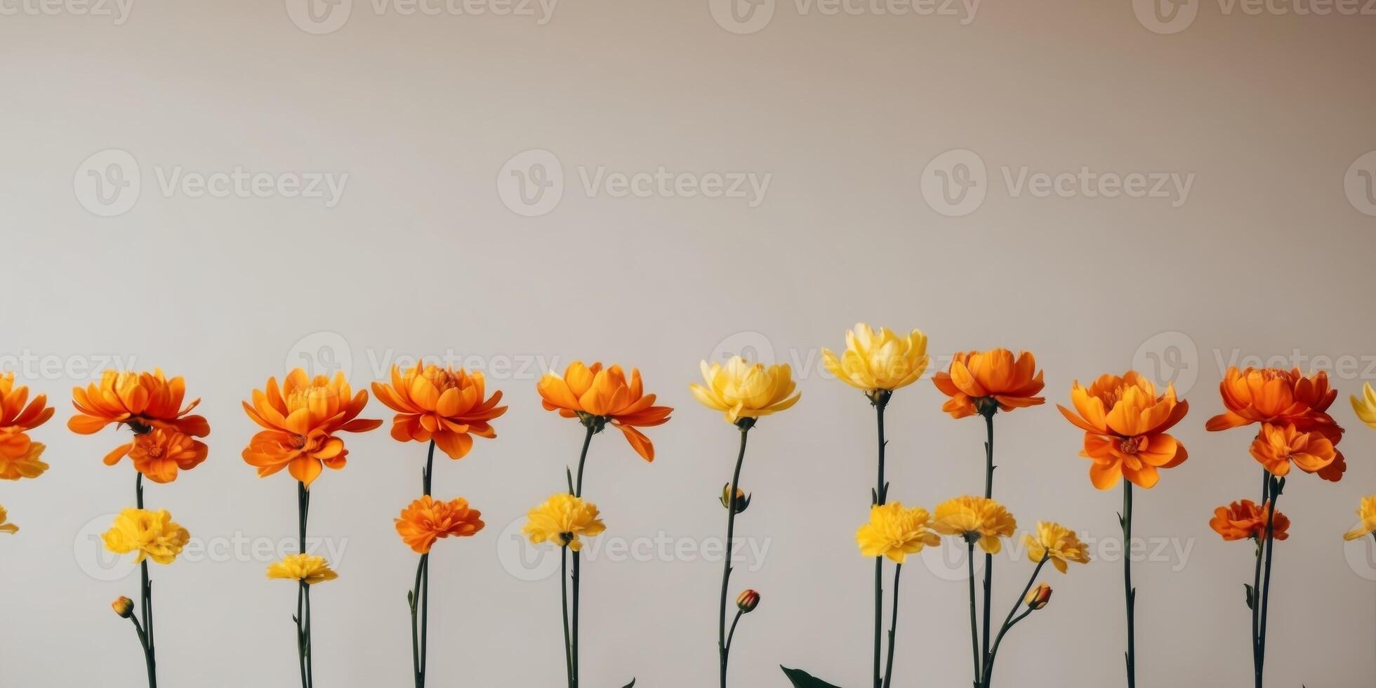 A bunch of orange and yellow flowers are arranged in a row photo