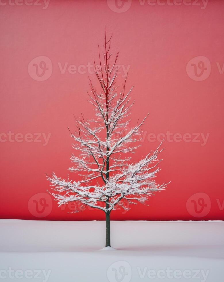 A small red tree is standing in the snow on a red background photo